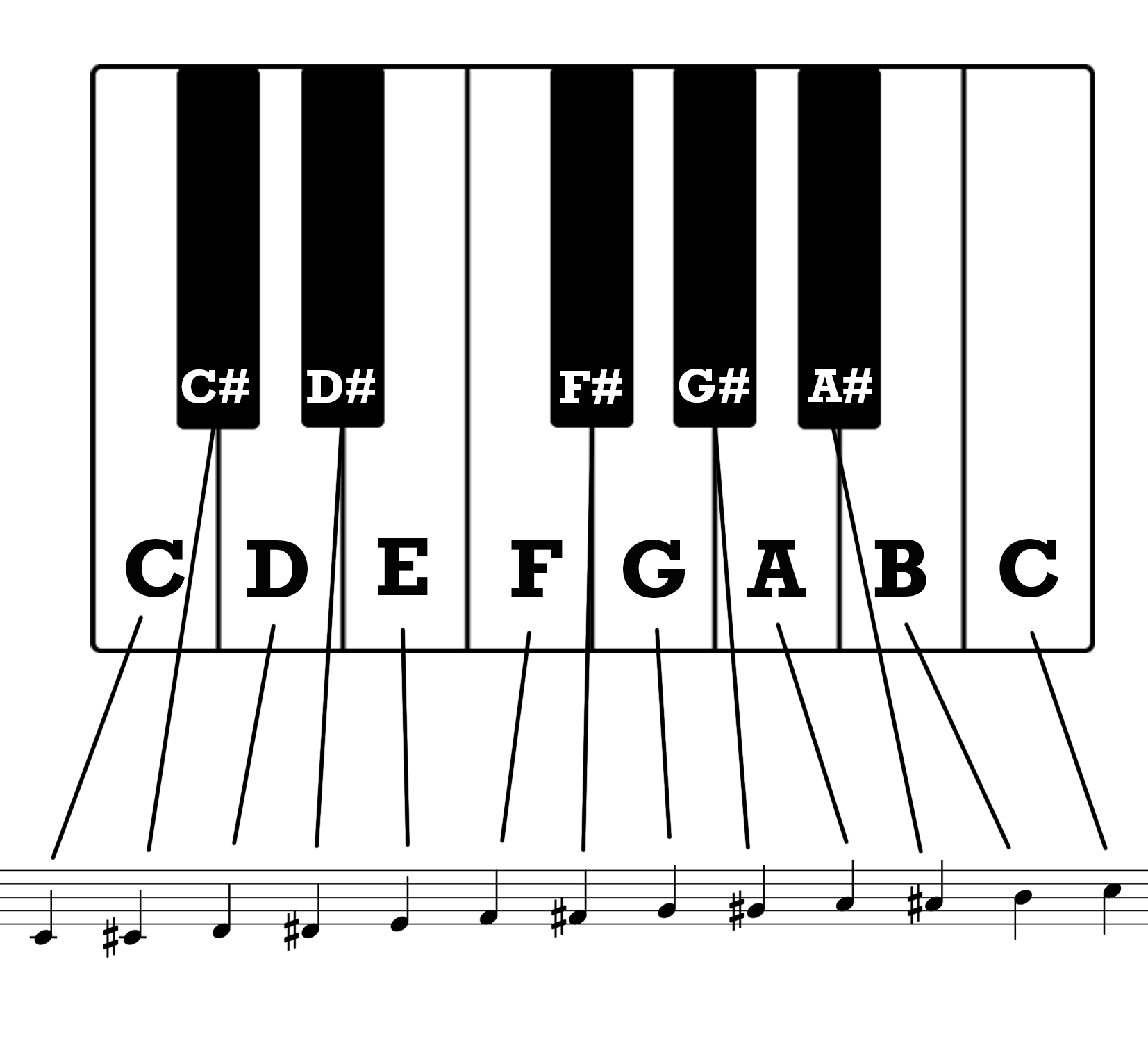 Chromatic scale with keyboard sharps